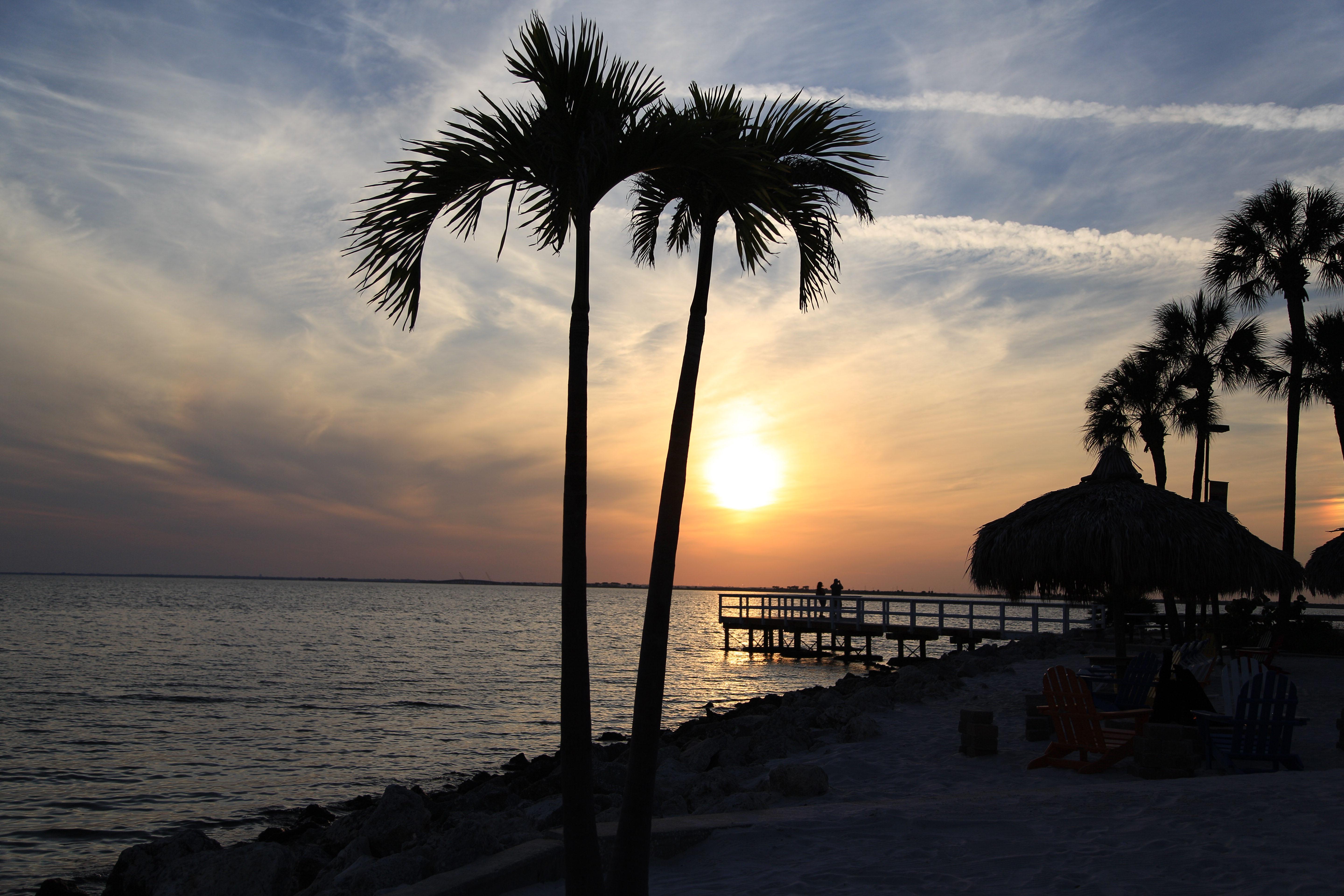 HOTEL SAILPORT WATERFRONT SUITES TAMPA, FL 3* (Estados Unidos da América) foto